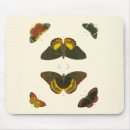 Suche nach insekten mousepads Weiß