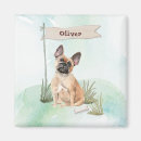 Recherche de canines magnets Bulldog