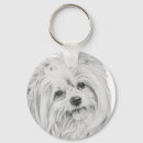 Suche nach designerhund Haustier