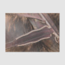 Suche nach braunes pferd Reitsport