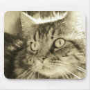 Recherche de visage tapis souris Friend