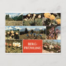 Suche nach blumen im frühling postkarten Wildblumen