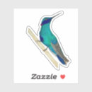 Suche nach hummingbird aufkleber Niedlich