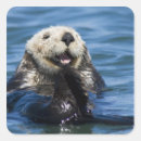 Suche nach monterey aufkleber Ozean