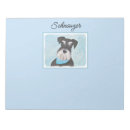 Suche nach niedlicher schnauzer Miniaturschnauzer