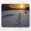 Suche nach abdrücke mousepads Sonne