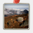 Suche nach rand ornamente Usa