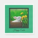 Recherche de image de lapin Simple