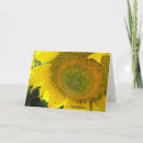 Suche nach sonnige tage karten Sonnenblume
