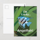 Recherche de eau douce cartes postales Pêche