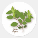 Suche nach oregano aufkleber Kochen