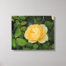 Recherche de jardin anglais art Jaune