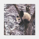 Recherche de environnement magnets Panda
