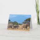 Suche nach kilimanjaro karten Safari