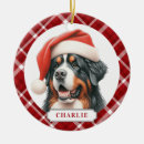 Suche nach bern ornamente Personalisiert