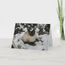 Suche nach schneebedeckte szene Schön