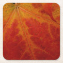 Suche nach ahornblatt untersetzer Rot