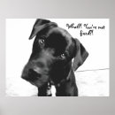 Recherche de fixer posters Animal