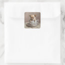 Recherche de chippie autocollants Chihuahua