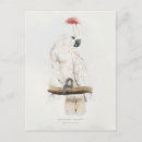 Recherche de lear cartes postales Illustration