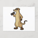 Suche nach erdmännchen postkarten Lustig