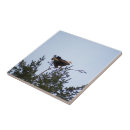 Recherche de aigle carreaux Arbre