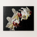 Suche nach weiße orchideen puzzle Botanisch