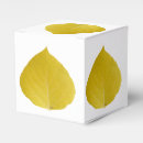 Suche nach baum papier geschenk box Natur