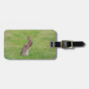 Suche nach hase gepäckanhänger Ostern