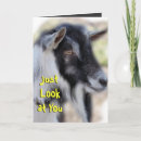 Recherche de humour de chèvre vœux cartes Humoristique
