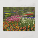 Suche nach keukenhof gärten postkarten Holland