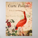 Recherche de oiseaux vintages posters Rétro