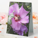 Suche nach insekten fotoplatten Hummel