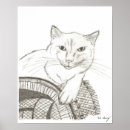 Suche nach ragdoll cat poster Tier