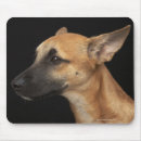 Recherche de gauche tapis souris Photographie