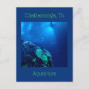 Recherche de chattanooga cartes postales Aquarium