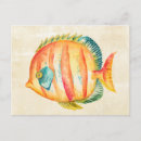 Recherche de poissons français cartes postales Aquarelle