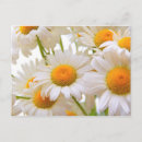 Recherche de summer cartes postales Fleurs