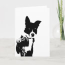 Suche nach border collies karten Weiß