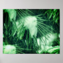 Suche nach immergrüner baum poster Für sie