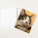 Recherche de chat bureau fournitures Pour enfants