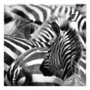 Suche nach afrika muster poster Wild lebende tiere