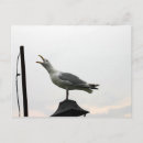 Recherche de gode cartes postales Mer