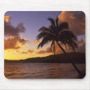 Suche nach tropische bäume mousepads Hawaii