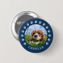 Recherche de empreinte badges Pour animaux