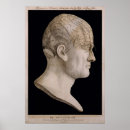 Suche nach vintage phrenologie poster Chart