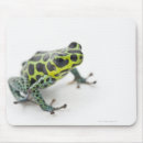 Suche nach grüner frosch mousepads Tiere