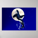 Suche nach schwertwal poster Tiere