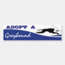 Recherche de levrier voiture autocollants Adoptez