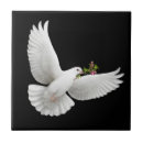 Recherche de colombe carreaux Oiseau